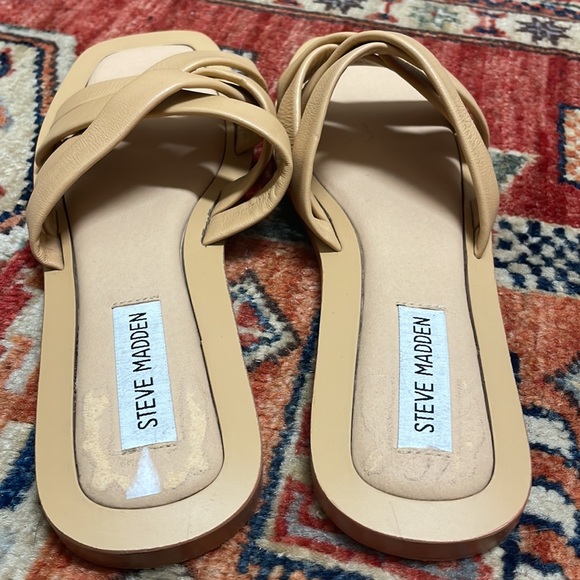 Steve Madden | Shoes | Nwot Haldy Sandal Steve Madden | Poshmark